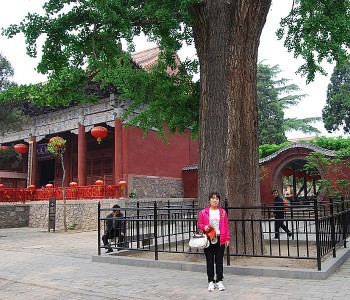 員工風(fēng)采
